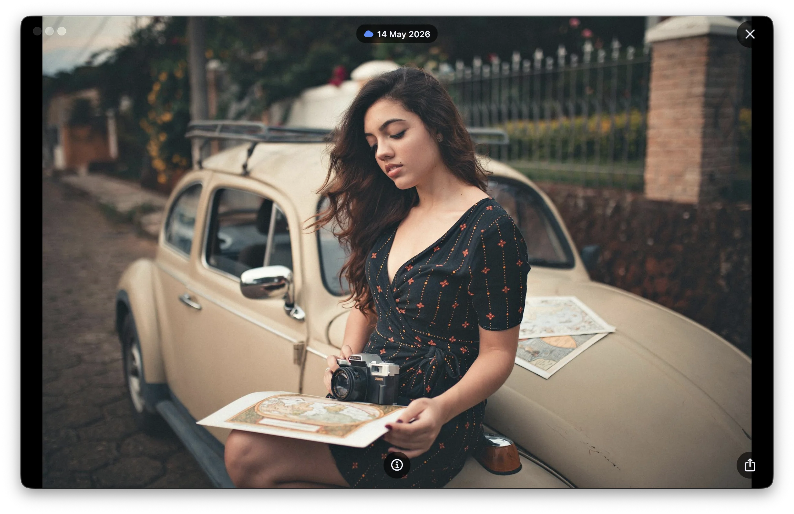 PhotoVault Desktop — Photo Detail View