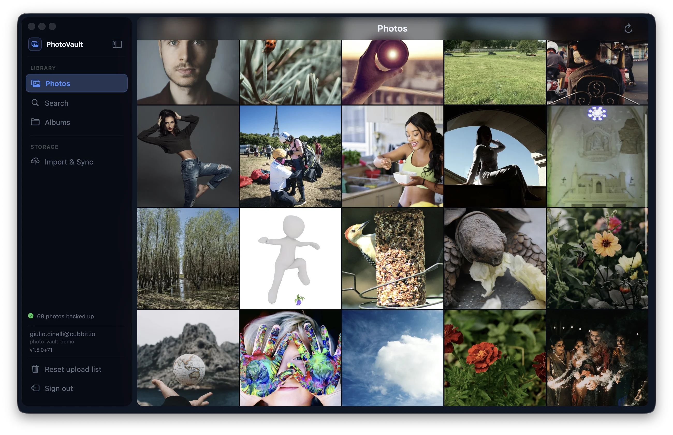 PhotoVault Desktop — Main Gallery View